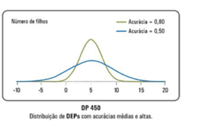 Gráfico ANCP - Acurácia Convencional