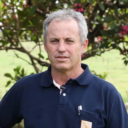 Seleção genética é chave para o aumento de produtividade na pecuária