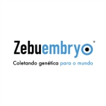 Zebuembryo_ASBIA_Associados